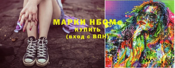 шишки Покачи
