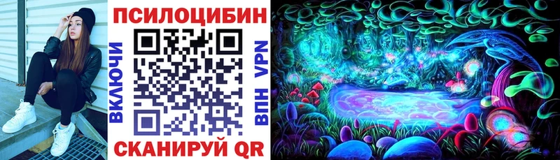 Псилоцибиновые грибы мицелий купить закладку Азов